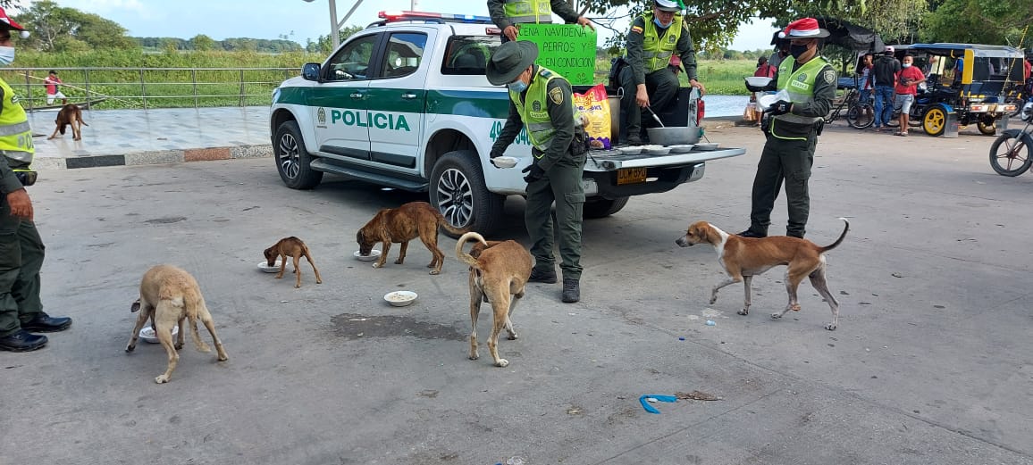 Cena navideña para perros de calle en Sabanagrande y Santo Tomás