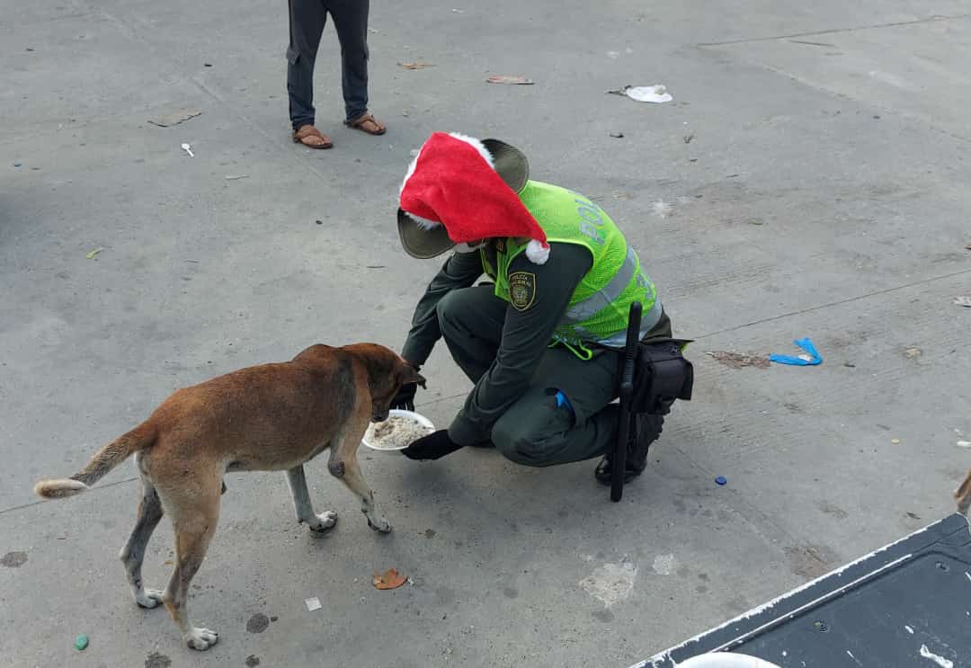 Cena navideña para perros de calle en Sabanagrande y Santo Tomás