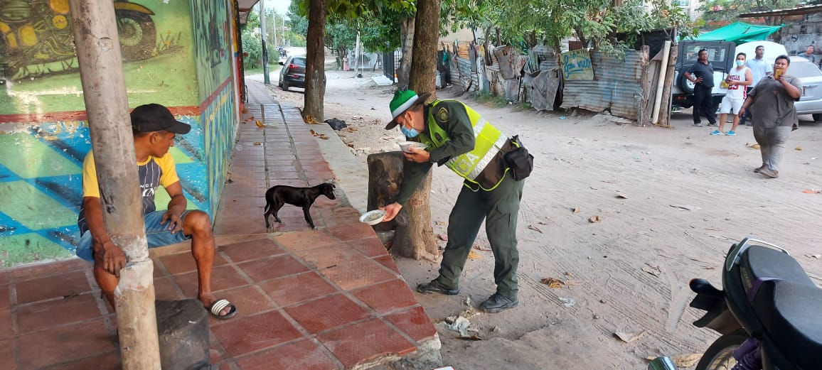 Cena navideña para perros de calle en Sabanagrande y Santo Tomás