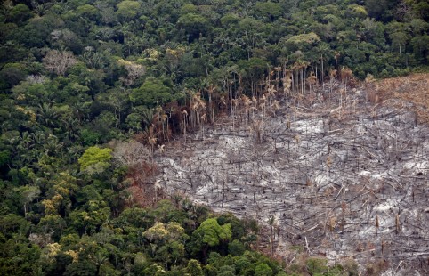 Deforestación en el Parque Nacional Natural Tinigua, en Colombia