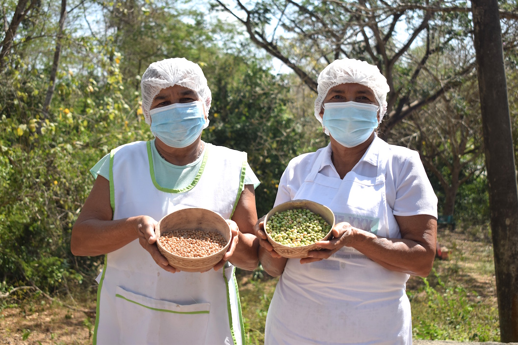 Las matronas con guandules secos y verdes.