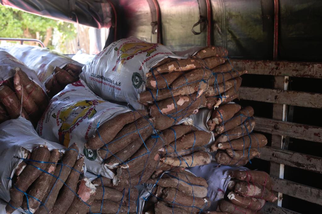 Campesinos pudieron vender la yuca ante la sobreoferta del producto.