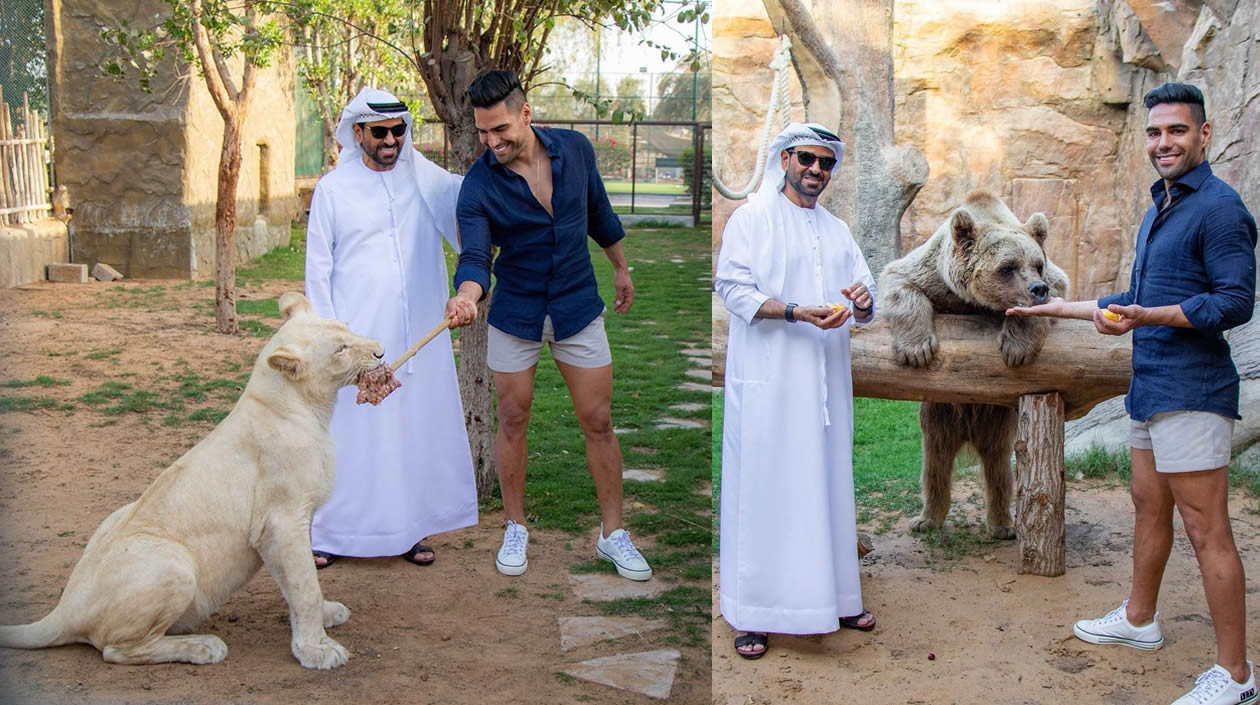 Falcao alimentó a una leona y un oso. 