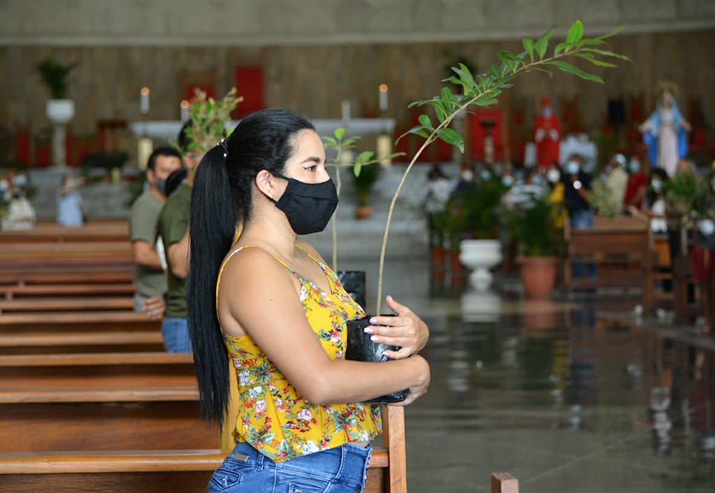 Celebración de la Eucaristía en la Catedral  Metropolitana.
