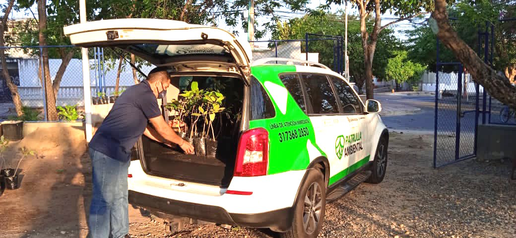 La Patrulla Ambiental distribuyendo los árboles.