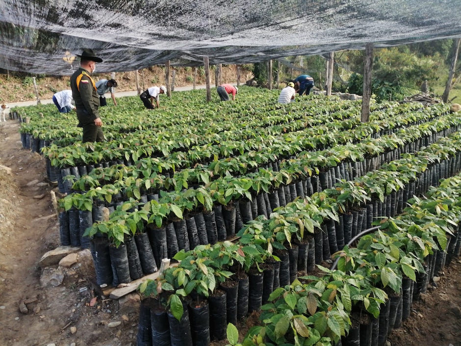 Apoyo a los productores agropecuarios de Santander.