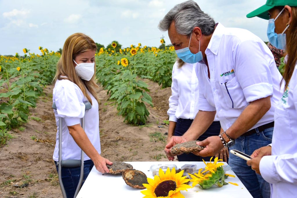 Con aliados del proyecto explicando los alcances del mismo.