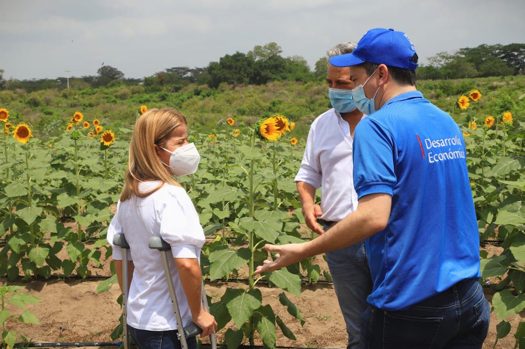 La Gobernadora Elsa Noguera y el Secretario de Desarrollo Económico, Miguel Vergara, en la zona de los cultivos en Santo Tomás.