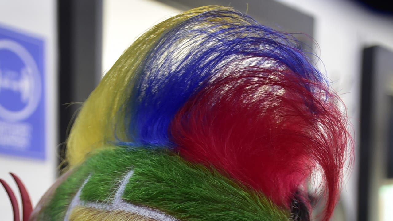 Cresta tricolor.