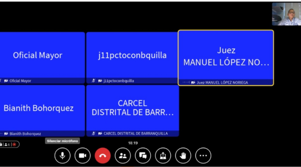 Aspecto de la audiencia virtual en donde se condenó a Cristian Alejandro González Camargo.