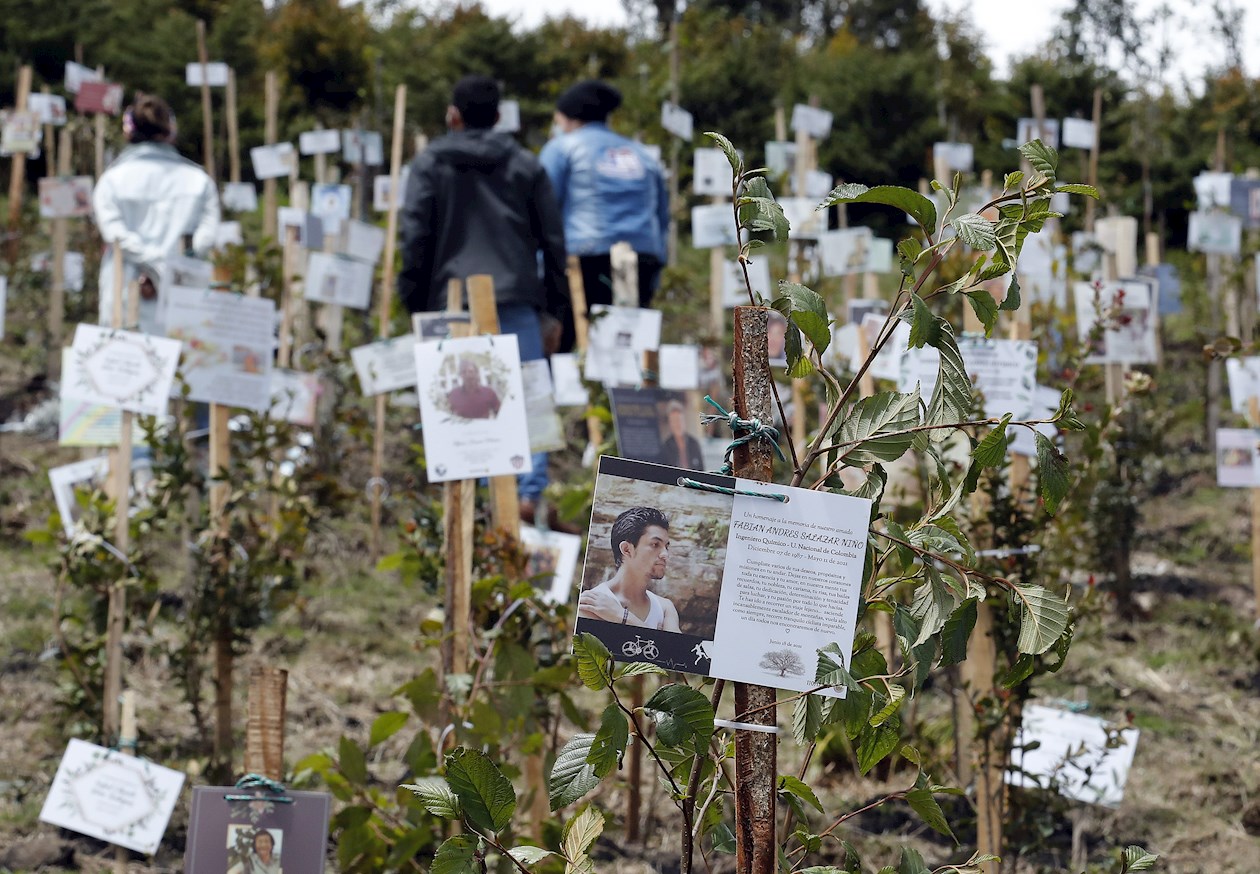  Desde hace seis años, cuando fue sembrada la primera planta, en este lote han echado raíces unos 6.700 árboles, todos ellos marcados con placas blancas en las que las familias honran la memoria de sus muertos.