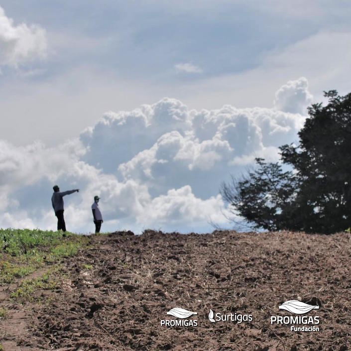 Se han beneficiado familias de Bolívar, Sucre y Córdoba.