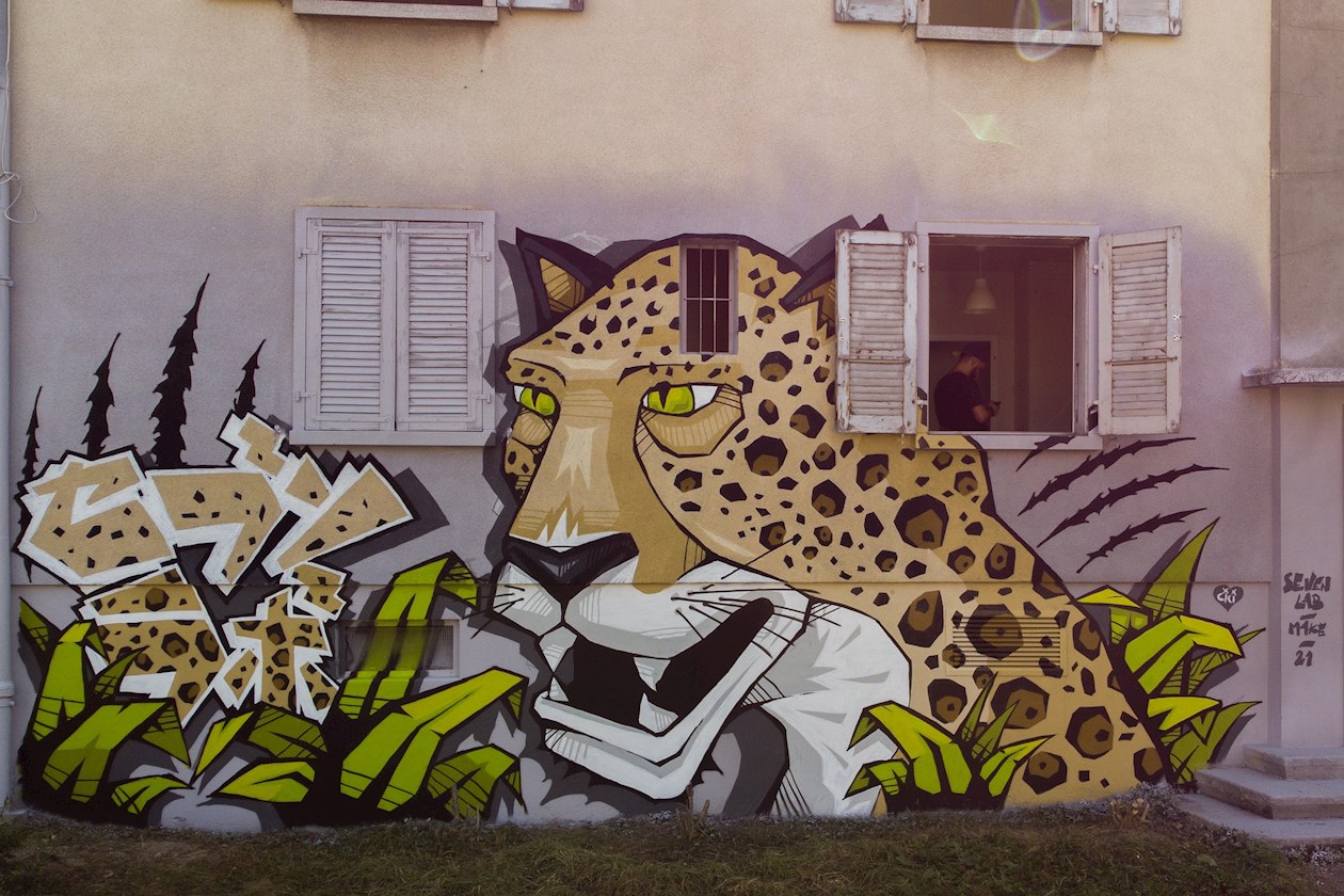 Así luce el barrio de Fontenette durante la 9ª edición de Pump Up The Jam, en Carouge cerca de Ginebra, Suiza.