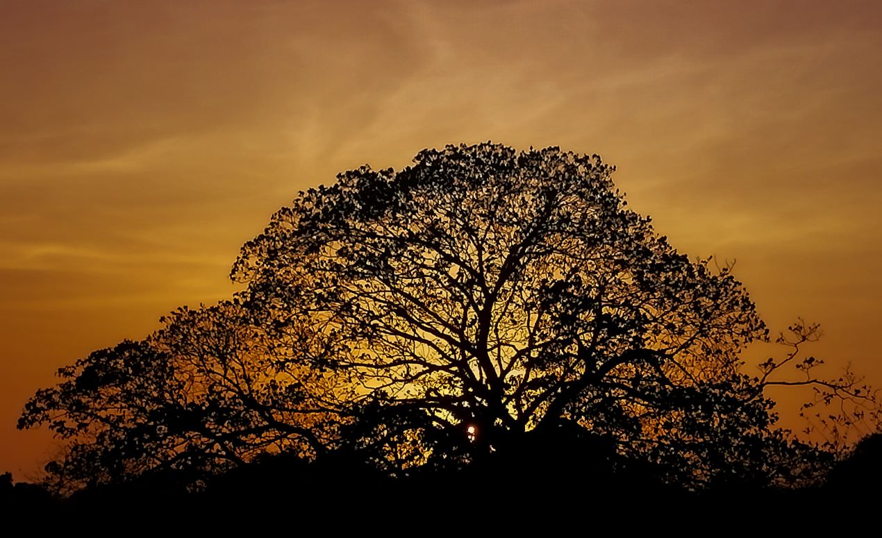 Fotografía ganadora en la categoría de dispositivo móvil, "Bendita luz", de Adair Johan Alvarez De La Hoz en Palmar de Varela.