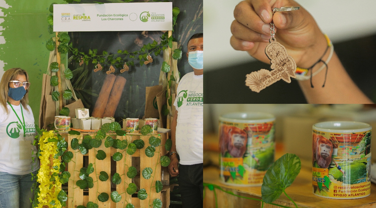 Fundación Ecológica Los Charcones.