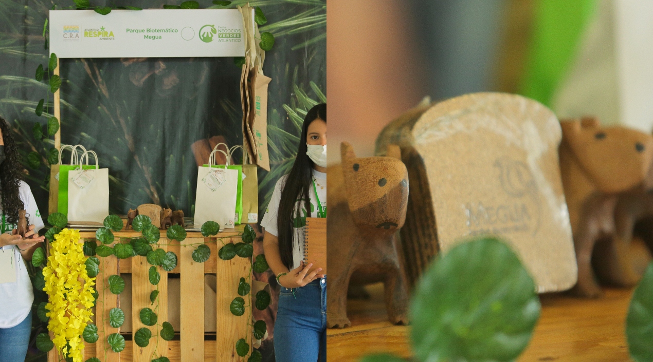 Proyecto Biotemático Megua.