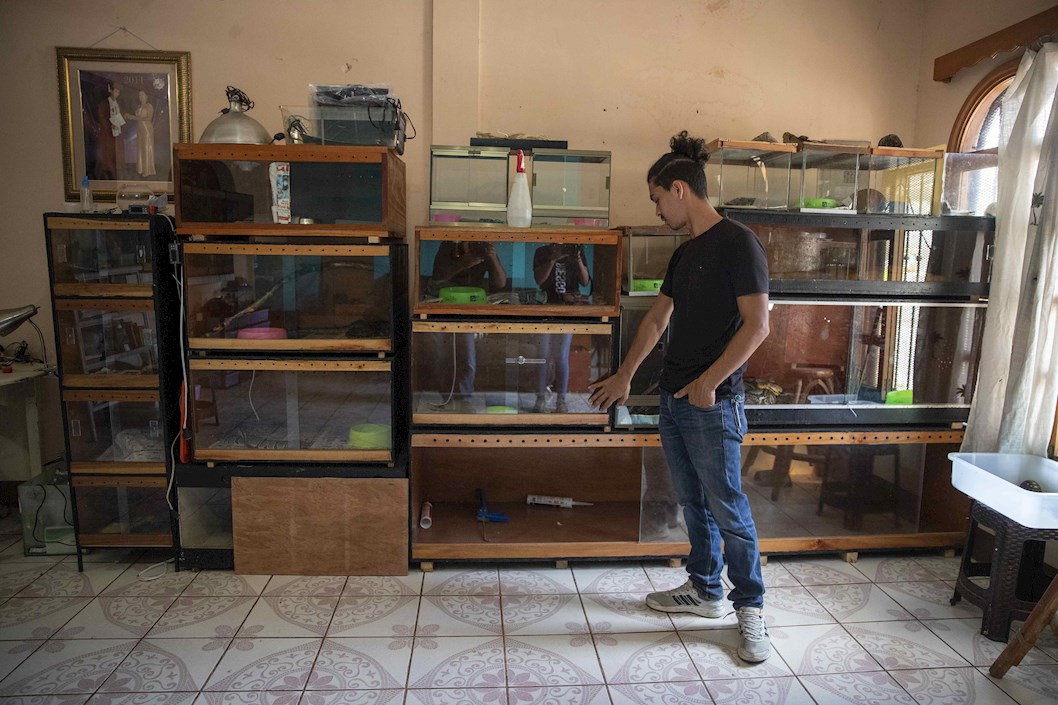José Delgadillo explicó que acoge en su vivienda a las serpientes en un intento de acabar con los prejuicios y estigmas que sufren estos animales.