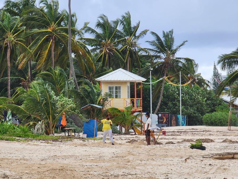 Limpieza de playas en San Andrés