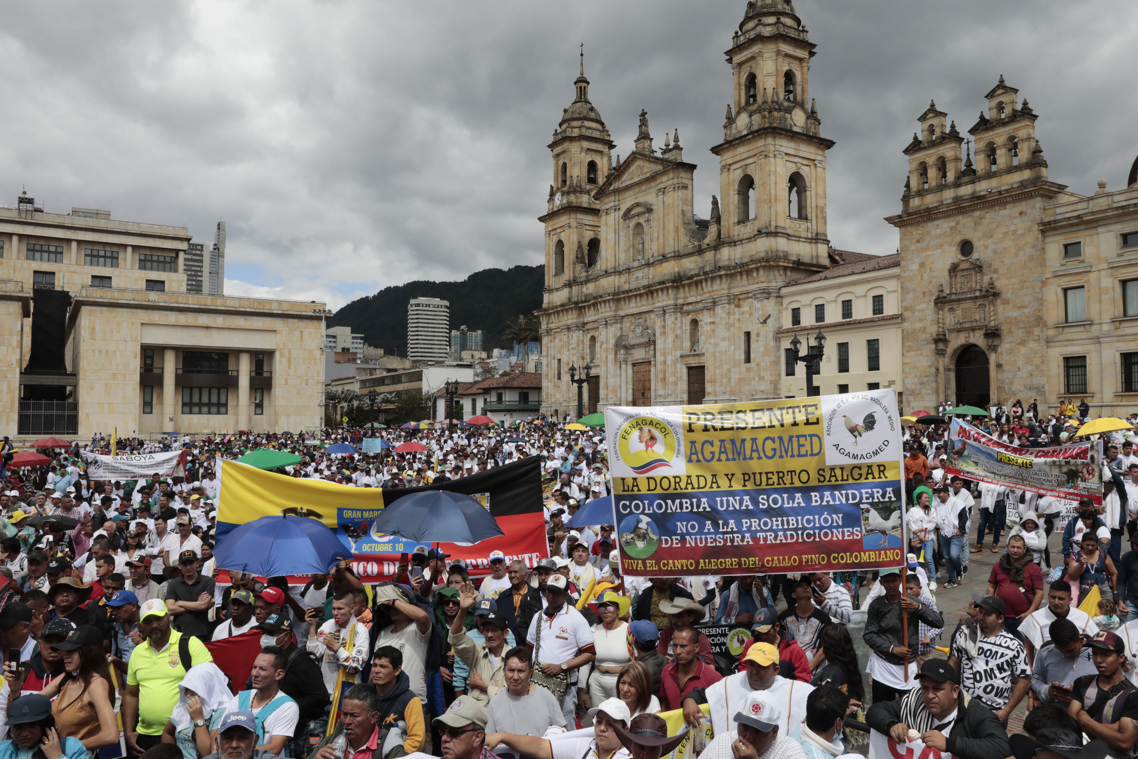 EFE Galleros de varias ciudades del país se concentran hoy, durante una protesta contra la prohibición de peleas de gallos en Bogotá.