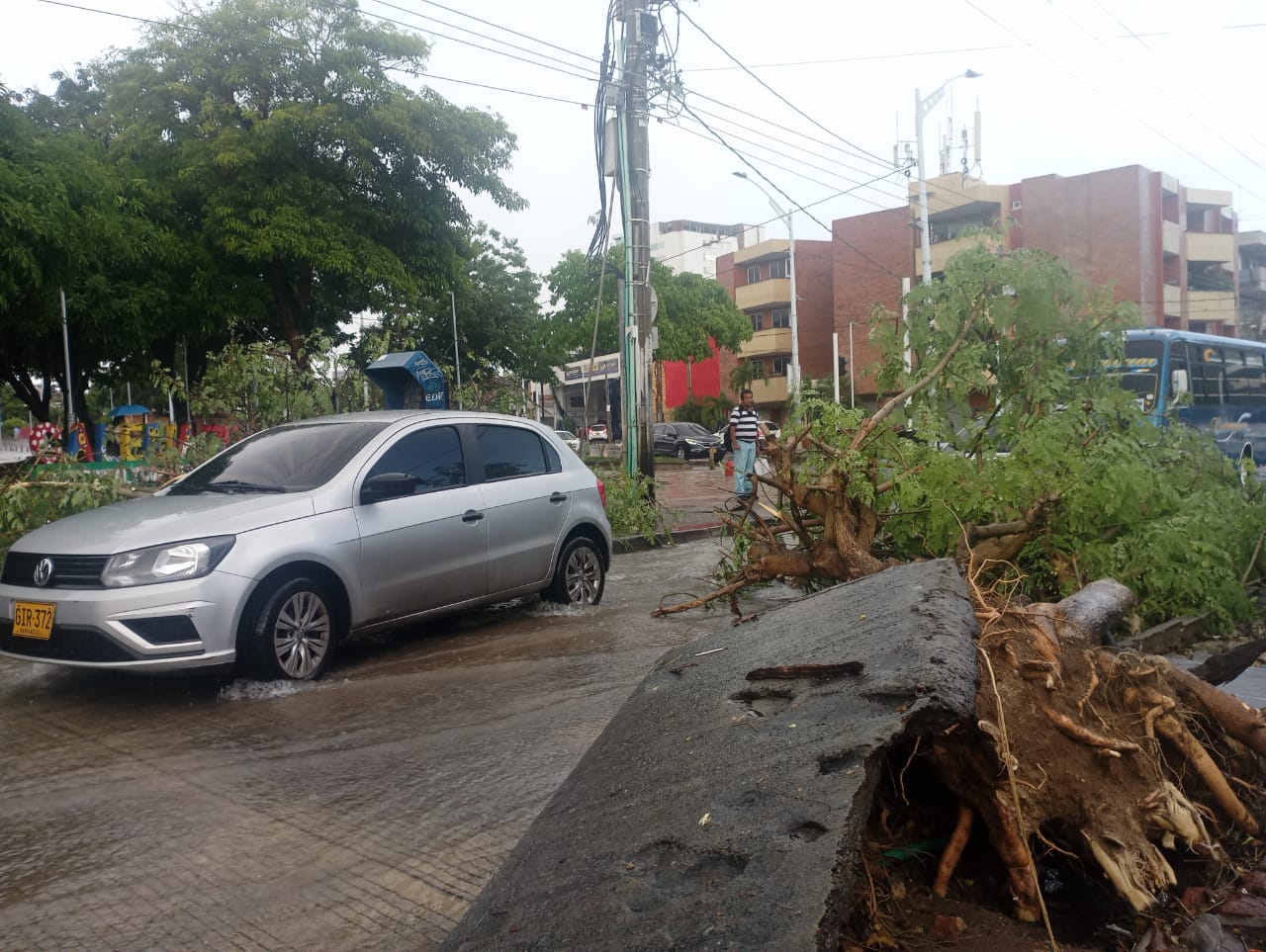 Cortesía. Árbol caído en la calle 72 con carrera 46.