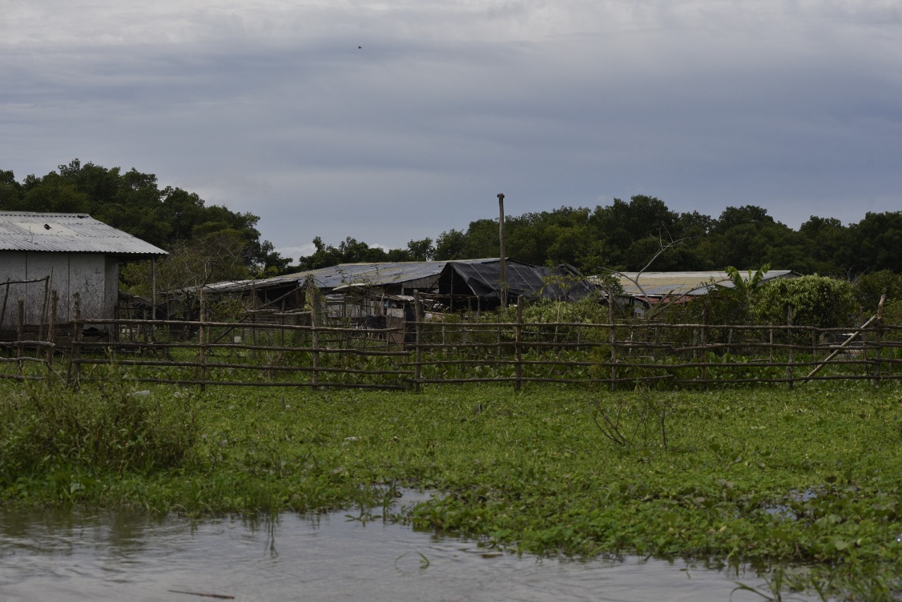 Casas palafíticas de Trojas de Cataca