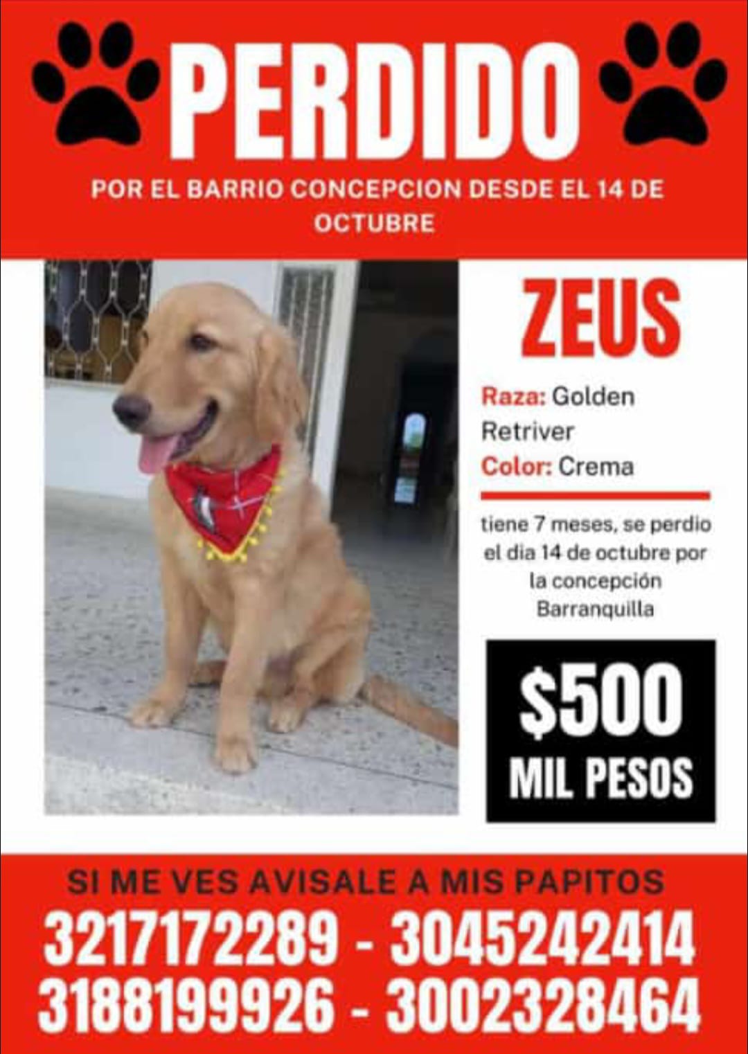 Familiares de 'Zeus' piden que lo regresen a sus dueños. 