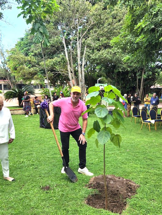 El árbol de Macondo en la Universidad del Norte.