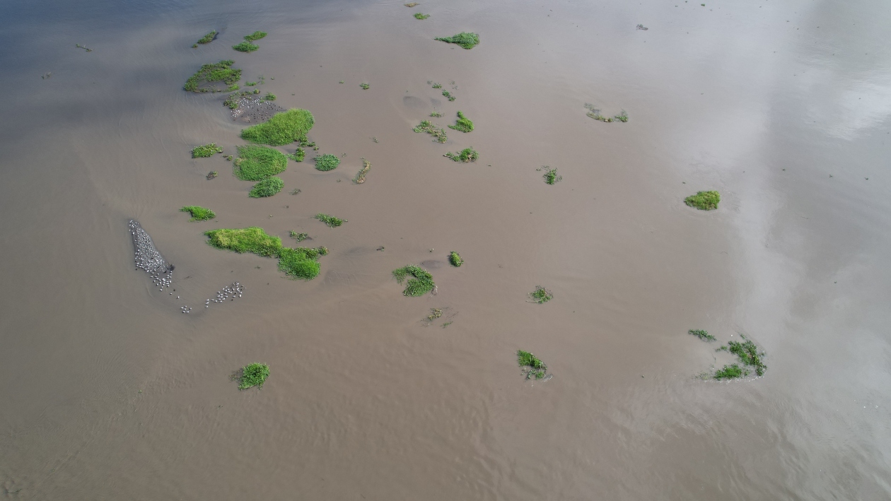 Una vez baje la creciente del río Magdalena, de qué tamaño será la 'Isla Pechuga', se preguntan los portuarios.