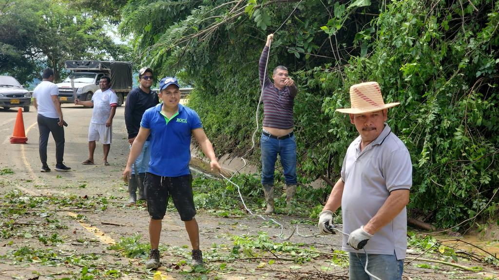 La comunidad también participa en las labores.