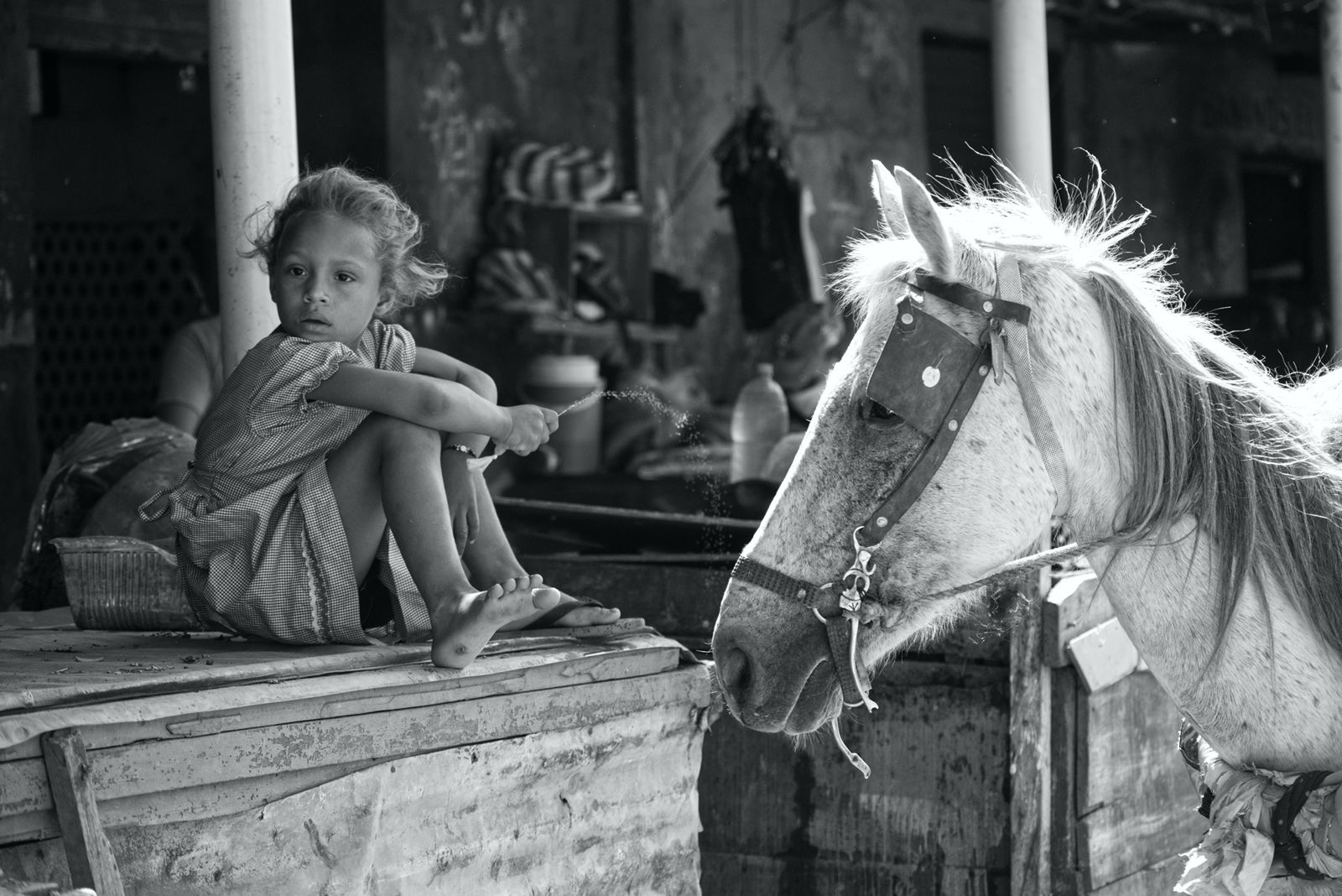 Fotografía ganadora de la XVI Fotomaratón ‘Mira al Centro’.