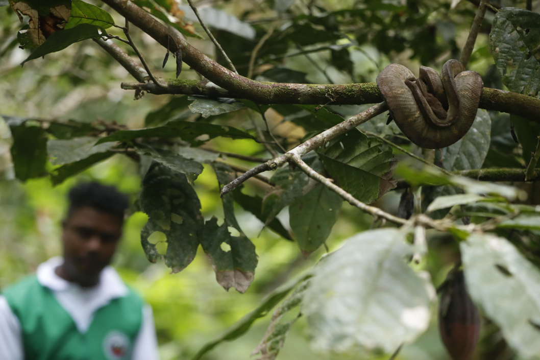 Rosa camina con un alumno durante un recorrido por la selva.