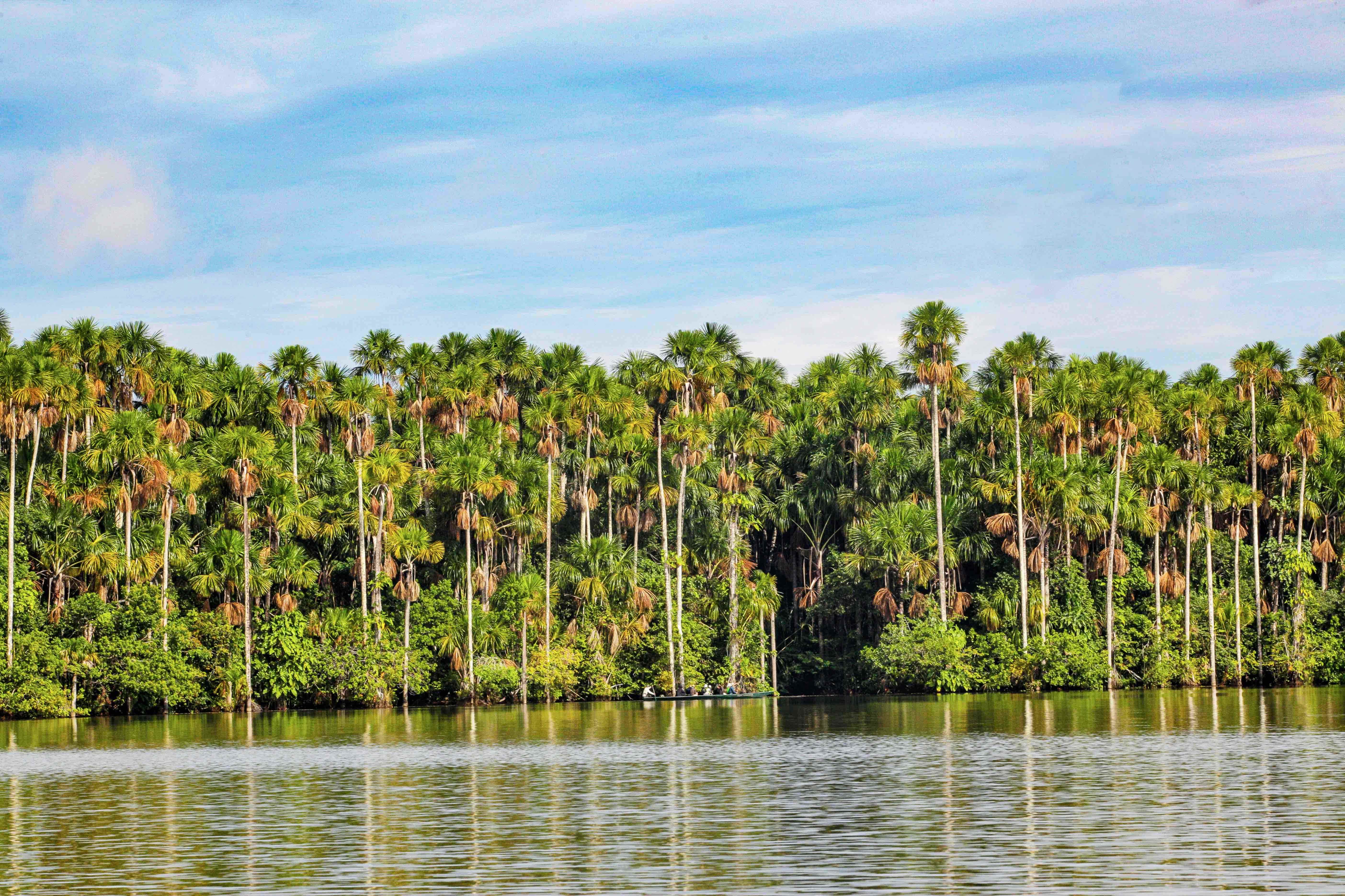 Tambopata, lago sandoval.