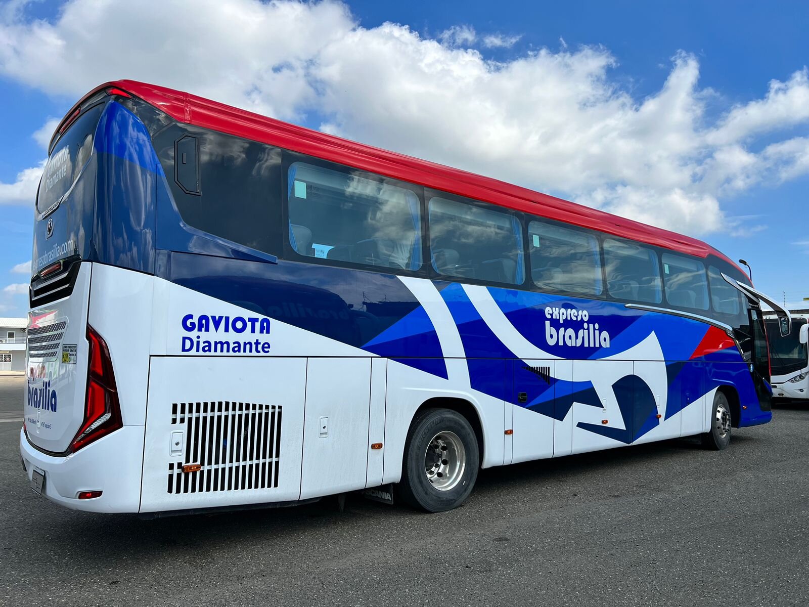 La divisa de Expreso Brasilia se denomina Gaviota Diamante, en honor a su ícono empresarial y los más de 60 años en el mercado de transporte.