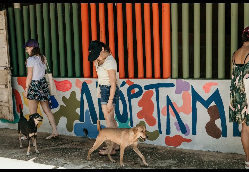 Dos cuidadoras de caninos.