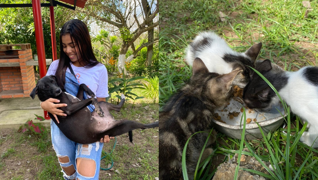 Valery Salgado cargando a una de la mascotas y unos gatos alimentándose. 