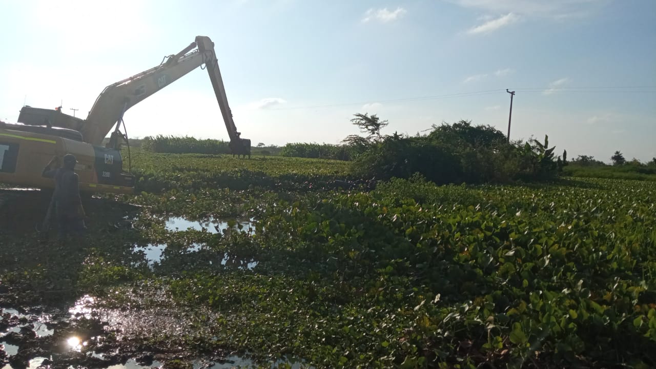 Dragado en la Ciénaga Grande