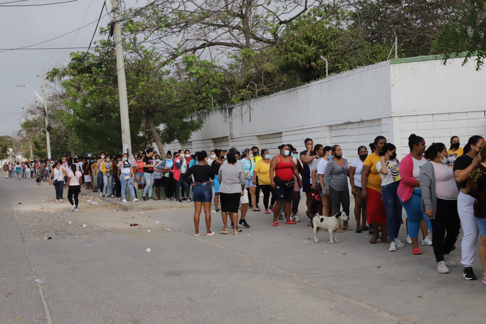 Largas filas en el colegio Don Bosco.