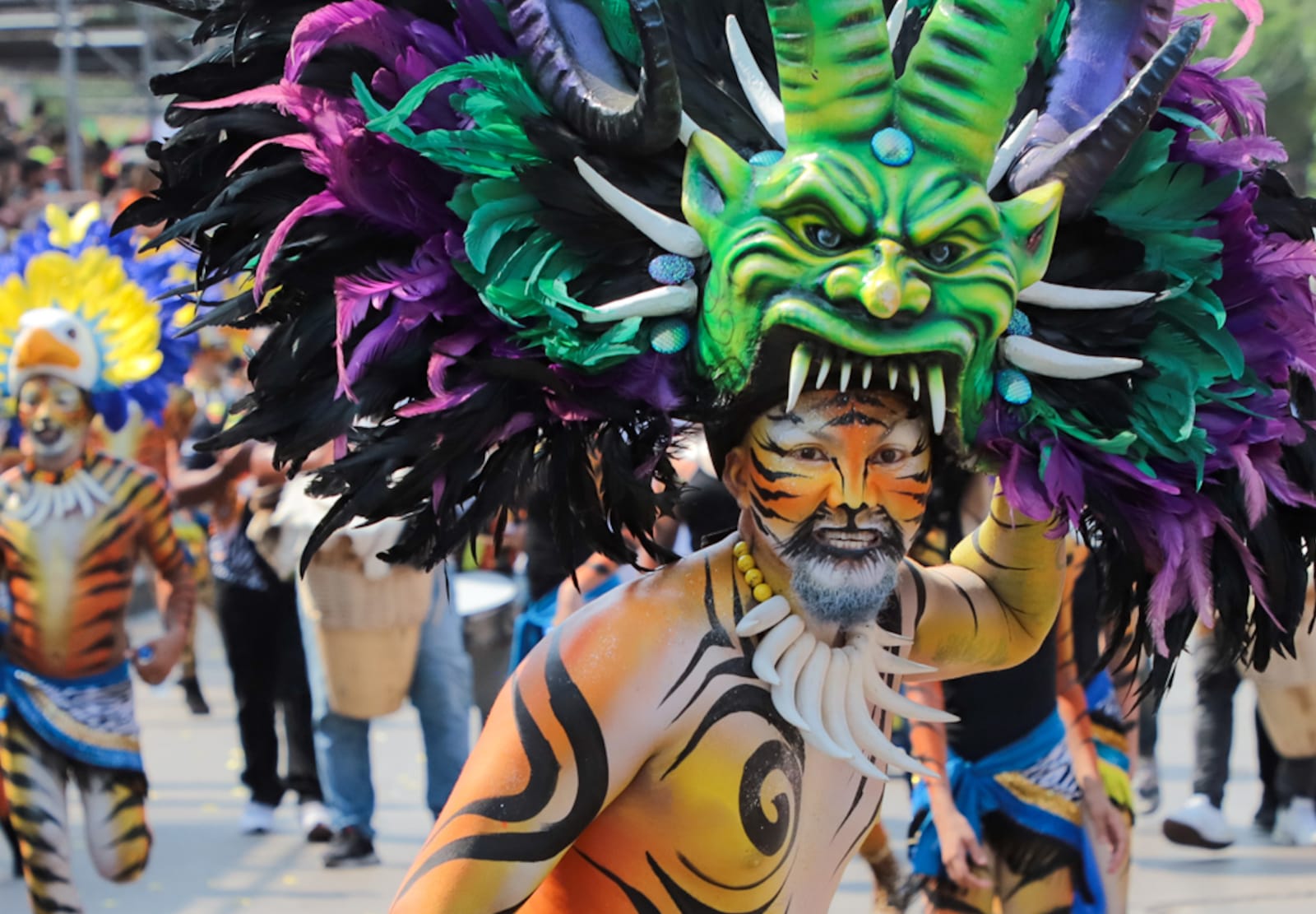 La fauna carnavalera en la Vía 40. 
