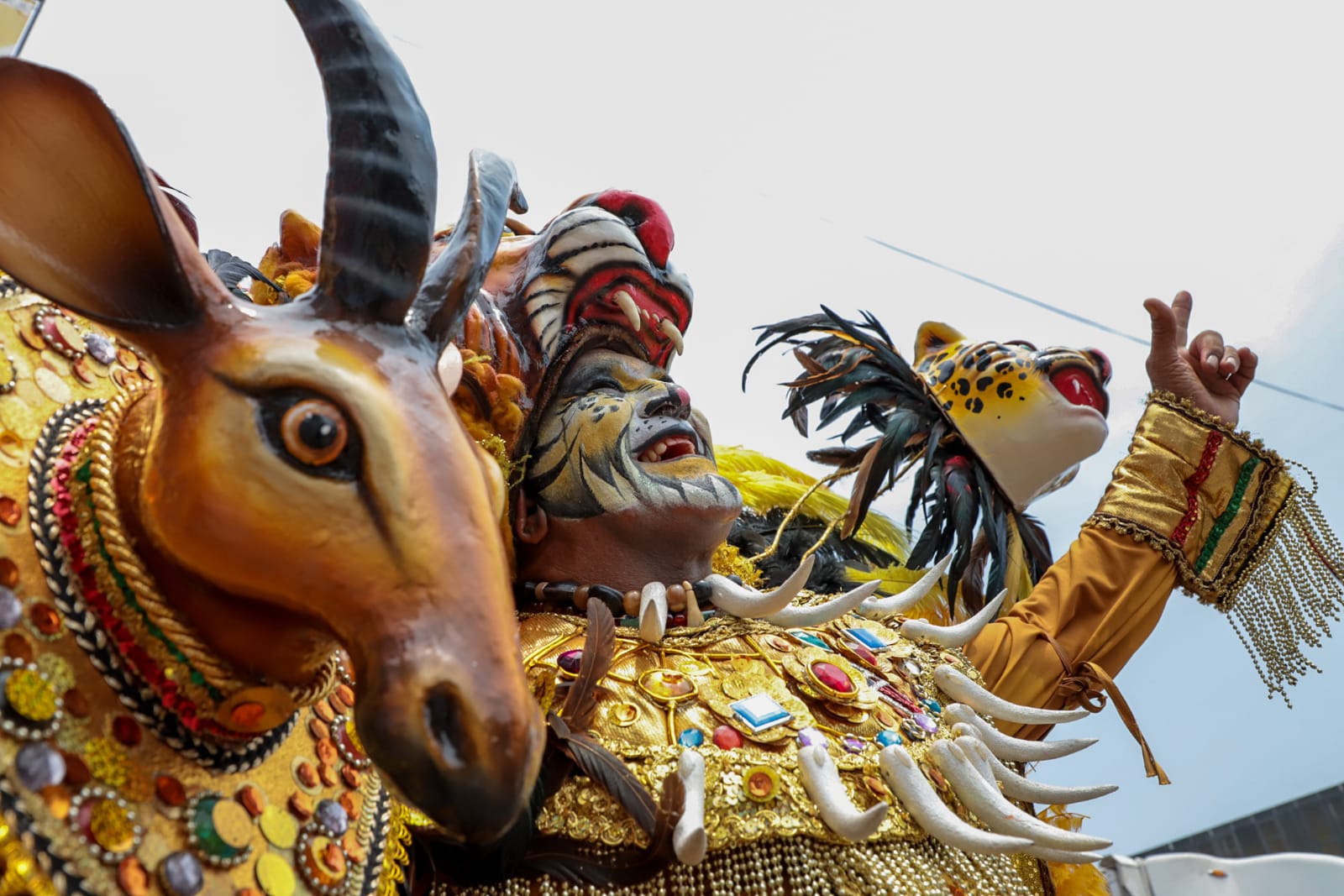 Las carrozas se vieron nuevamente en el desfile carnavalero. 