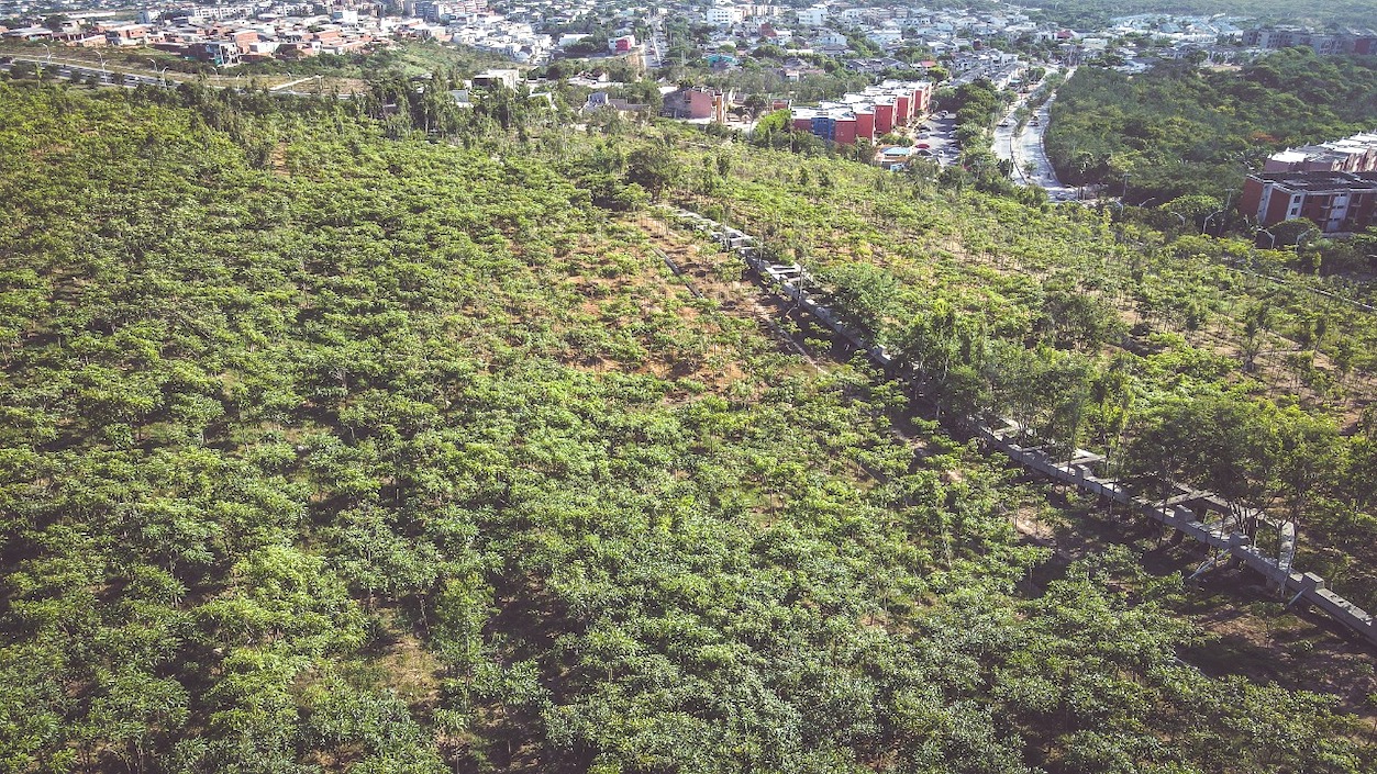 Zonas arborizadas en Barranquilla.