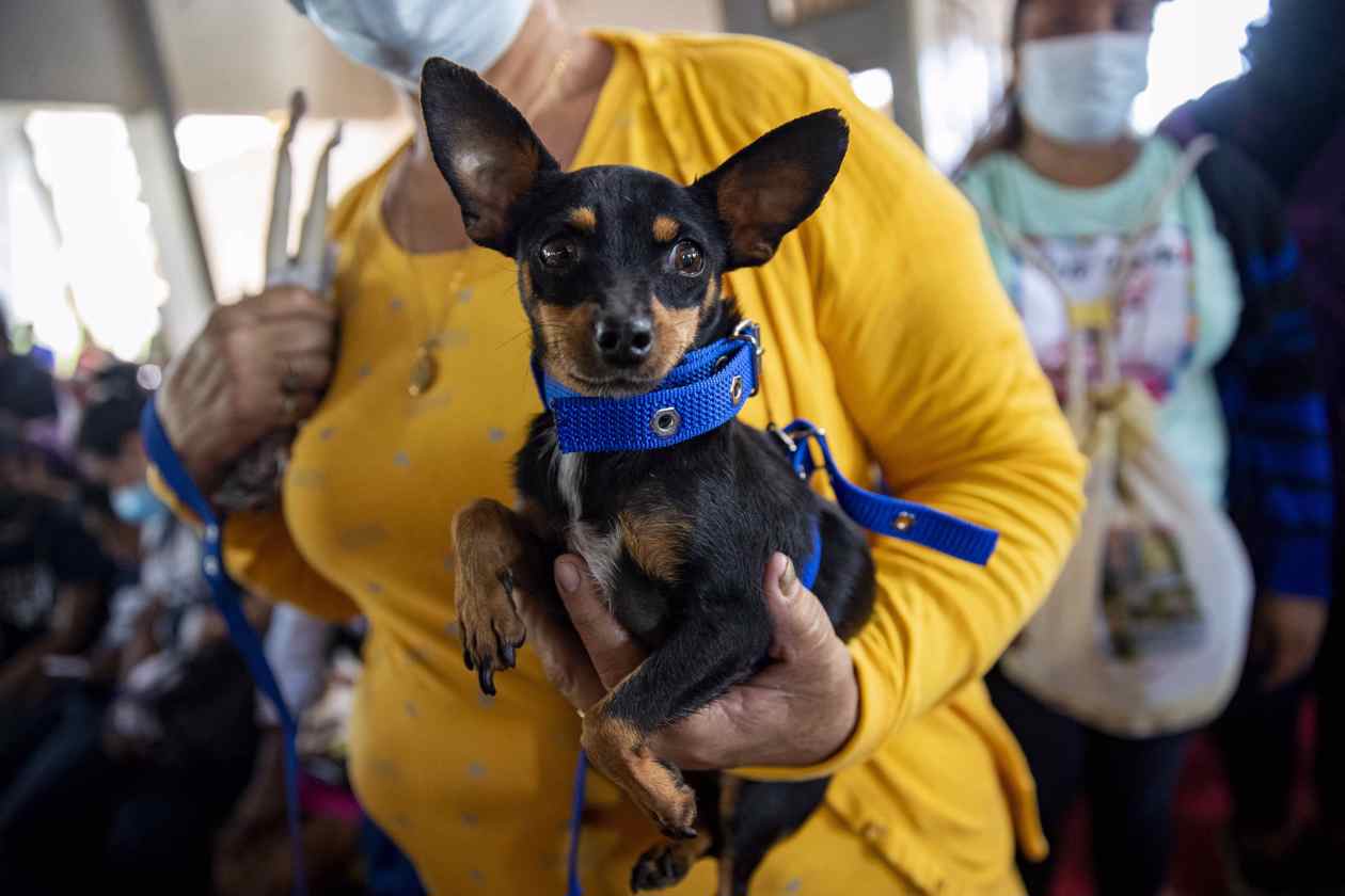 Un perro es cargado por su dueña durante una eucaristía en la iglesia Santa María Magdalena de Masaya (Nicaragua).