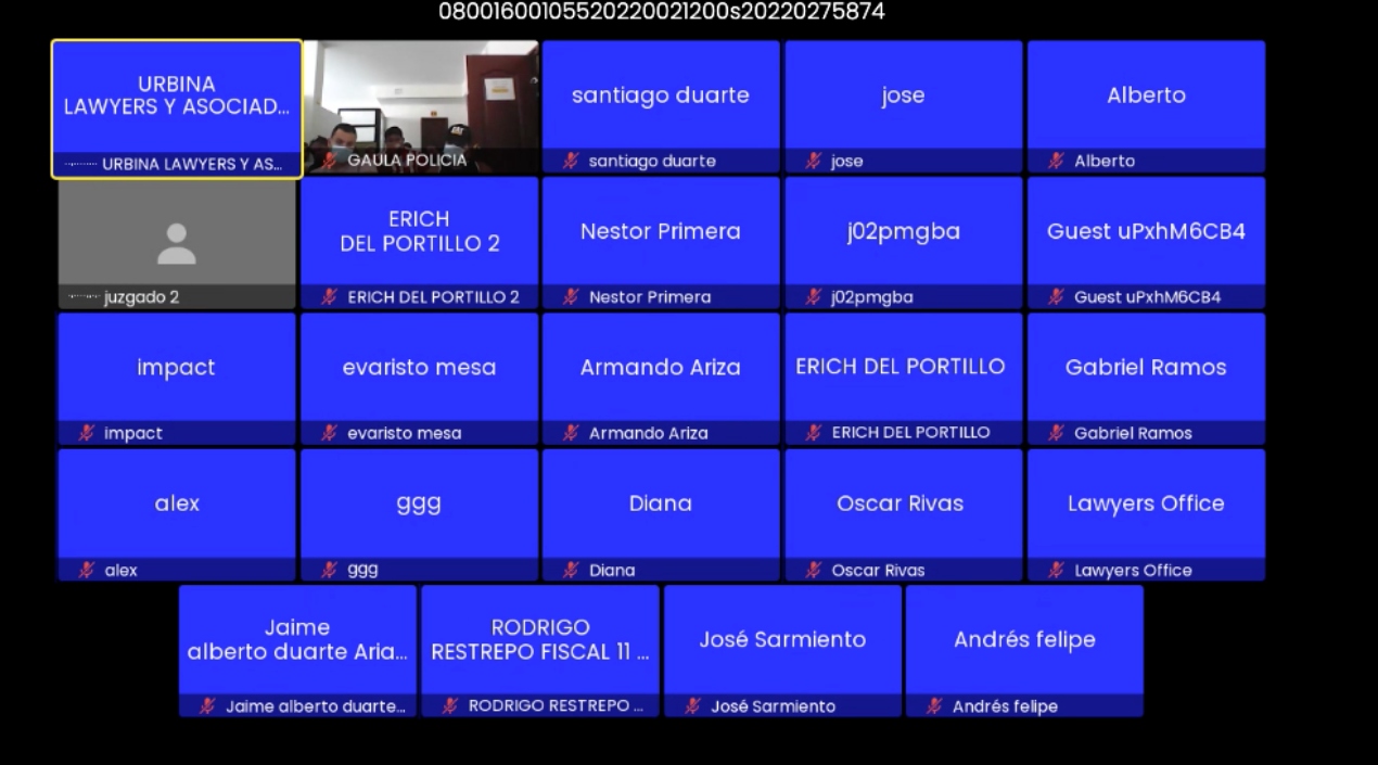 Aspecto de la audiencia virtual de solicitud de medida de aseguramiento realizada este viernes. 