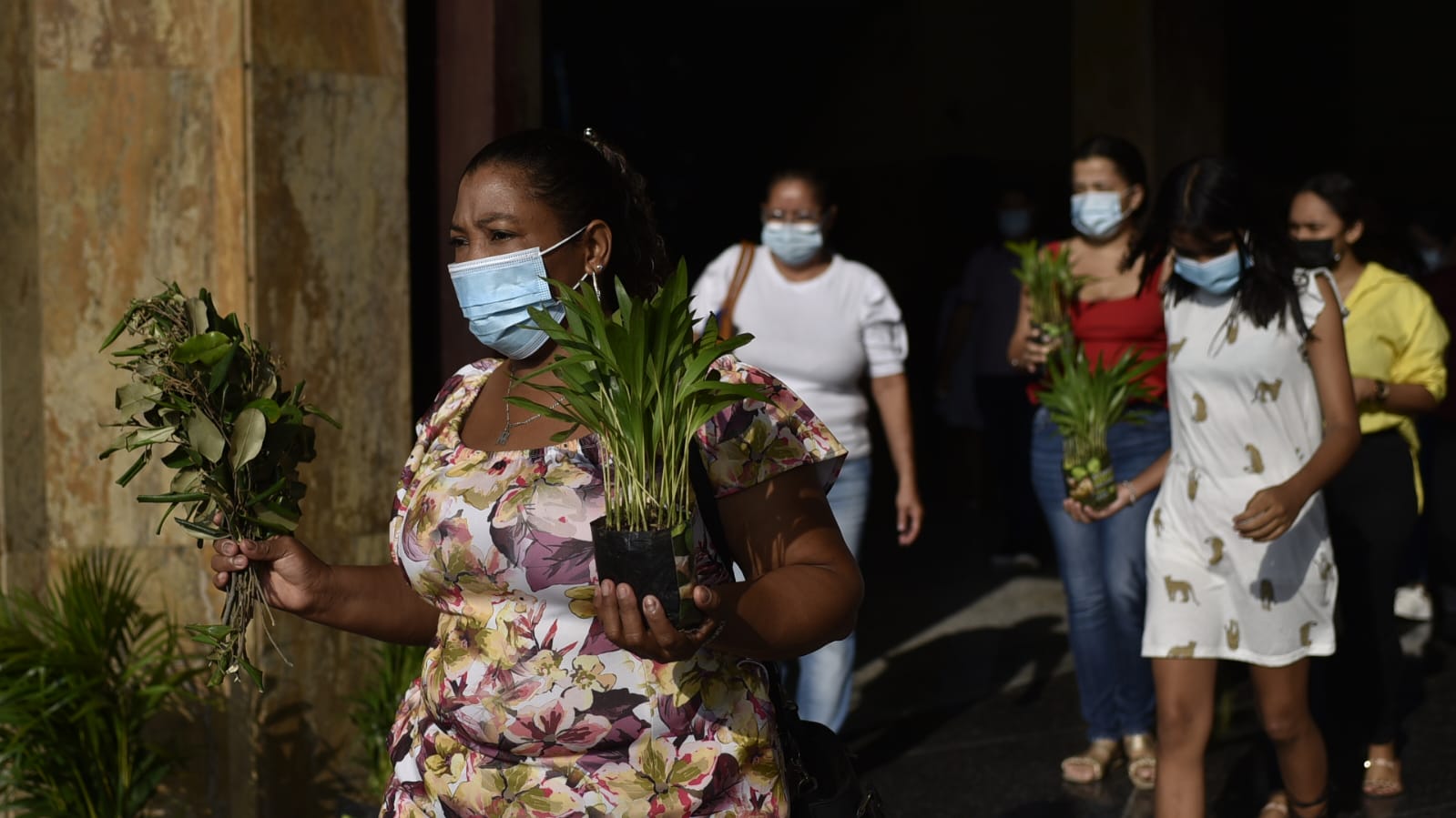 La gente hizo presencia con las tradicionales palmas y también con algunas plantas. 