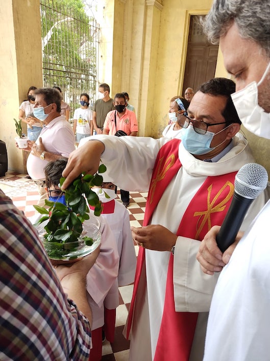 Bendición de las plantas vivas.