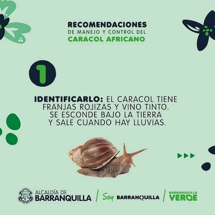 Recomendaciones de Barranquilla Verde.