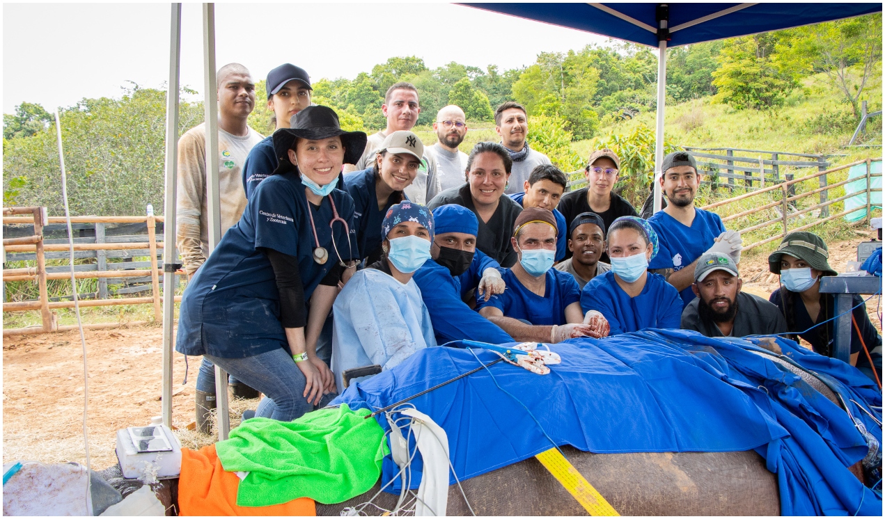 La esterilización fue posible gracias al esfuerzo en conjunto entre las Autoridades Ambientales: Área Metropolitana del Valle de Aburrá, Corantioquia y Cornare, quienes contaron con el apoyo de la Universidad CES, a través del Centro de Veterinaria y Zootecnia - CVZ de Medellín. 