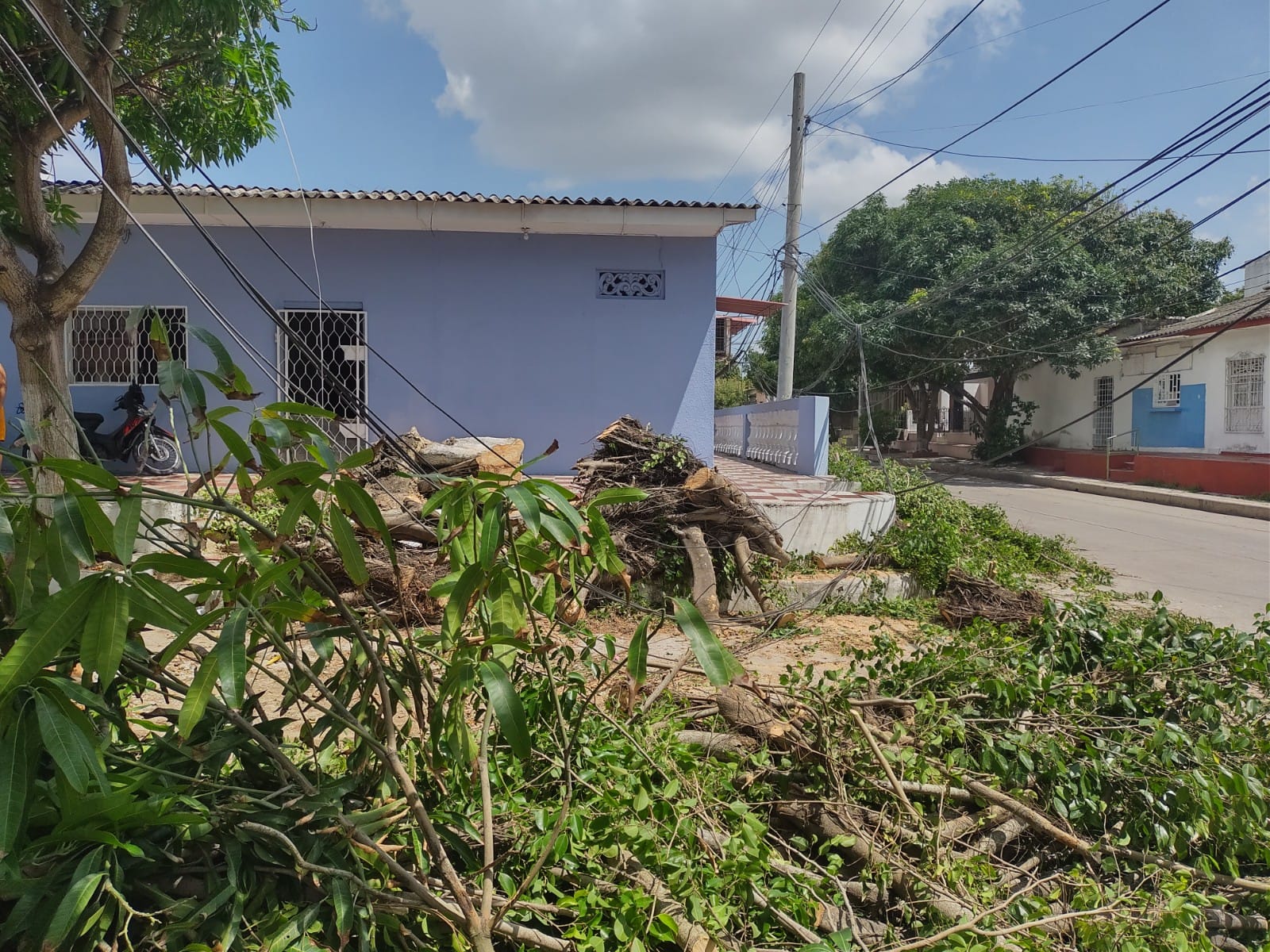 Así se encuentra la zona.