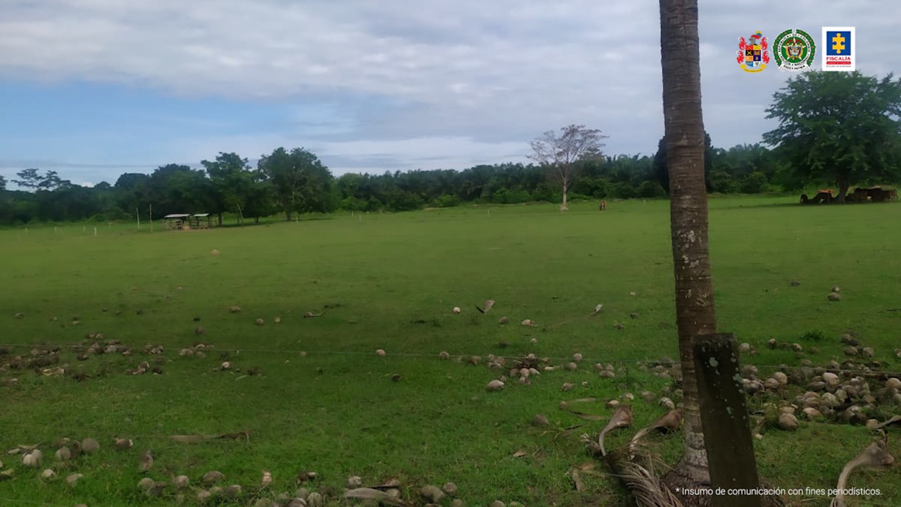 Campos de entrenamiento en la ‘Casa Castaño’.