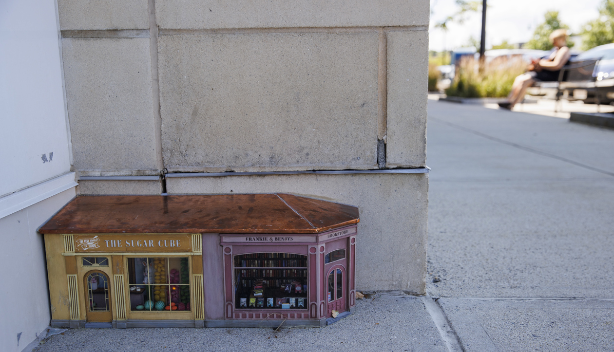 Librería en miniatura.