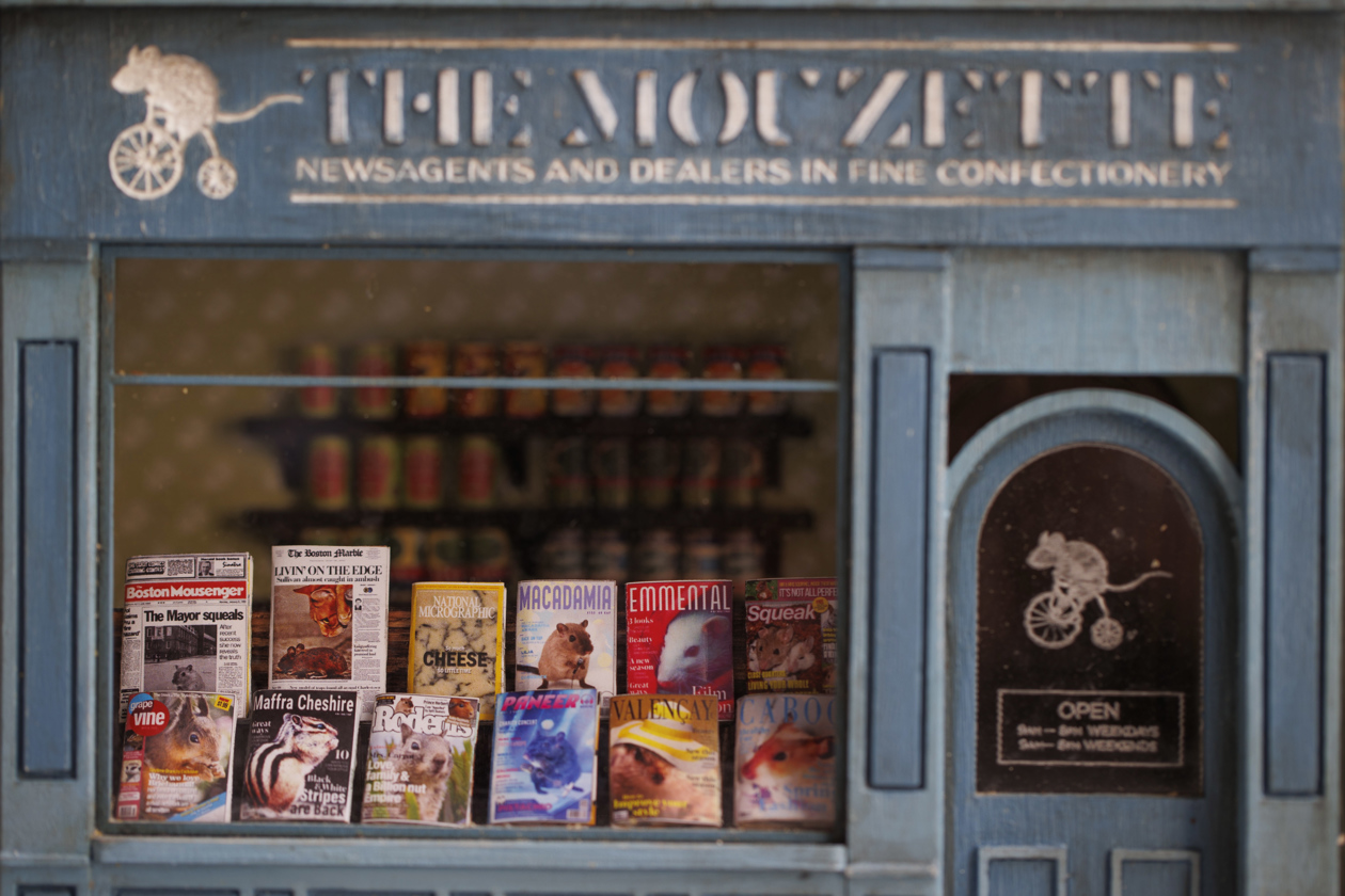 Librería en miniatura.